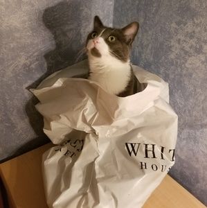 Meet your Posher, Deanne